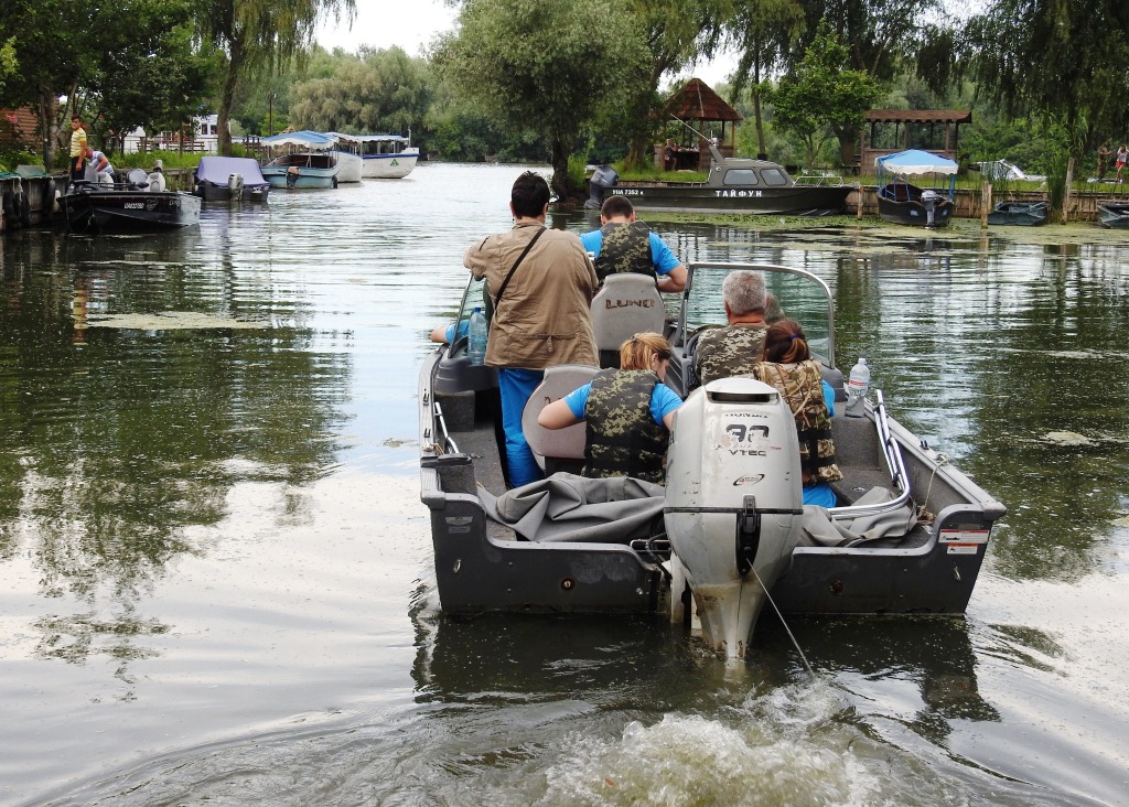 Осетрова варта вже в Україні