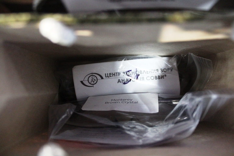 Американці прислали голові Чернівецької ОДА безкоштовні оправи для окулярів