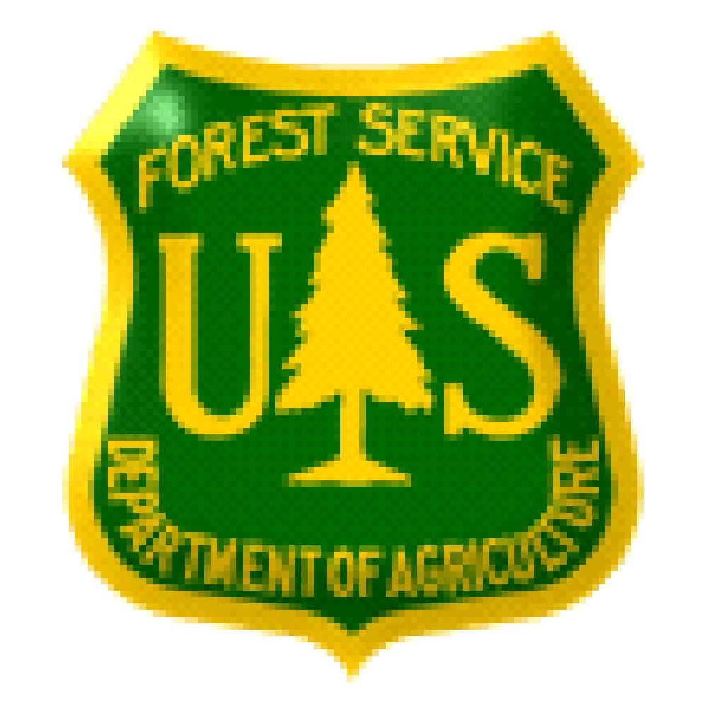 Лісова служба США поділиться з українцями досвідом боротьби з незаконною вирубкою лісів