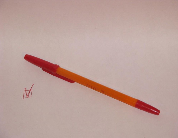Технологія 'червоні ручки' лише на 5 дільницях вартувала 200 тисяч грн