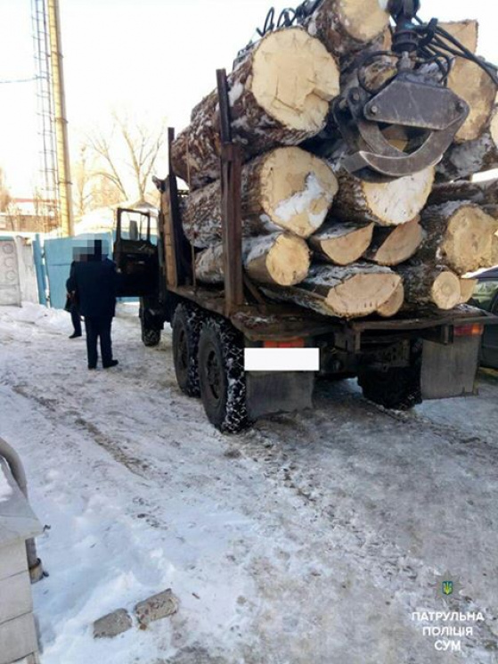 На Путильщині місцевий житель перевозив лісодеревину без відповідних документів