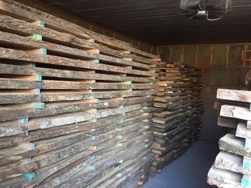 На Буковині викрили схему незаконних оборудок з лісодеревиною