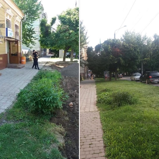 Обшанський розшукав порушників, які знищили дерева: зелену зону - відновили, дерева висадять навесні 2019-го