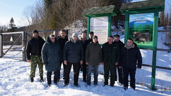 Львівські зубри житимуть як сторожинецькі 