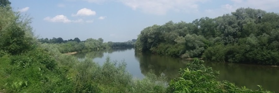 Потопельником, якого виявили у Дністрі, виявився 43-річний мешканець Заставнівського району, який зник восени 2018 року