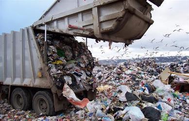 Ситуація з санітарним станом у Чернівцях - критична: побутові відходи відтепер клопіт місцевих чиновників (ОНОВЛЕНО о 15.40)