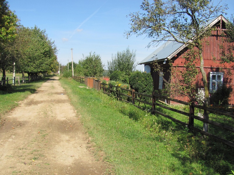 Америка, але наша, Старожадівська...