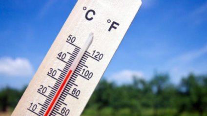 Максимальна температура у Чернівцях 1 липня сягнула 35,6 градусів 