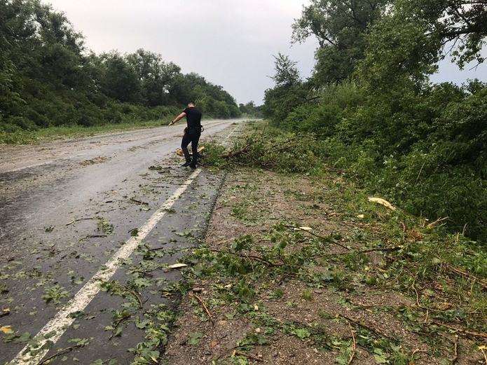 Майже 40 міст і сіл на Буковині залишились без світла, 80 будинків - без дахів