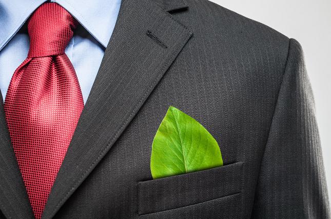 ЦВК не вимагає від партії 'Слуга народу' відповіді на своє звернення про подвійне громадянство деяких кандидатів 