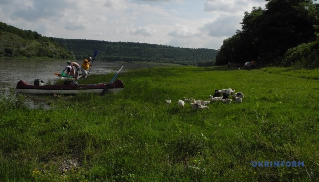 Хто захистить Дністер від нових ГЕС?