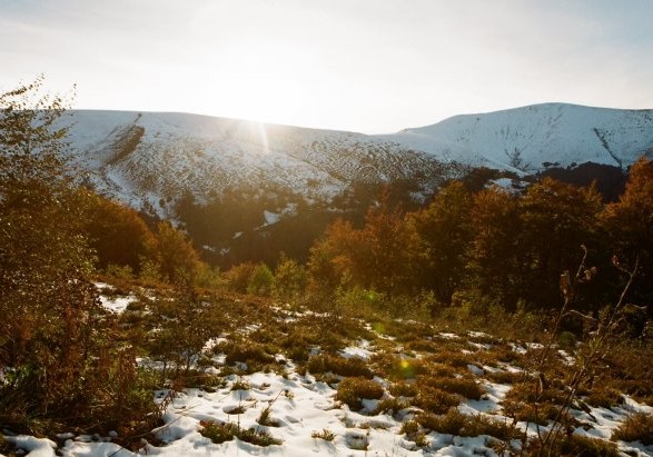 Сніг у Карпатах можливий уже у п'ятницю - синоптики
