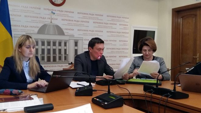 Народну депутатку Олену Лис з Чернівців обрали керівником робочої групи з підготовки Закону про середню освіту до другого парламентського читання (фотозвіт)