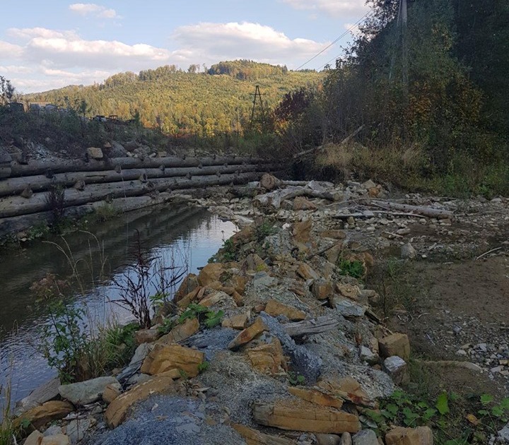 Від форелевого заводу в Лопушно відвели воду, через що можуть загинути маточні поголів’я лосося, харіуса та струмкової форелі