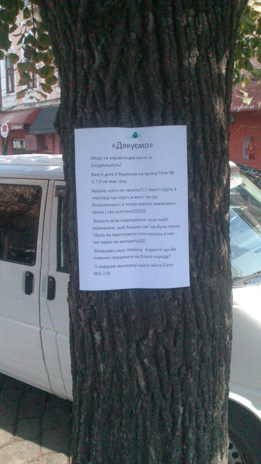 Чернівчани розвішали оголошення на деревах зі скаргами на бездіяльність міської влади і свавілля газовиків