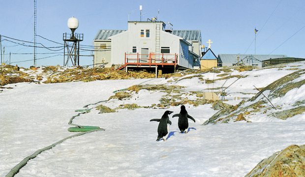 На кожне місце у 25-у Українську антарктичну експедицію зголосилося в середньому по 7 претендентів