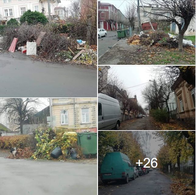 Нехлюїв з ТОВ Єврокомунбуд, КЖРЕП-14, ПП Порядок в домі, КЖРЕП– 5, КЖРЕП – 6, які занедбали прибирання вулиць, знімуть з оплати 