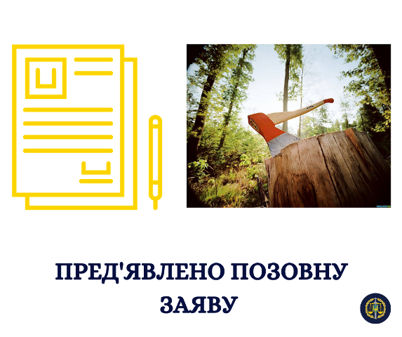 З мешканця Банилова-Підгірного, який незаконно зрубав 17 ялиць у «Зубровиці», хочуть стягнути 90 тисяч гривень шкоди
