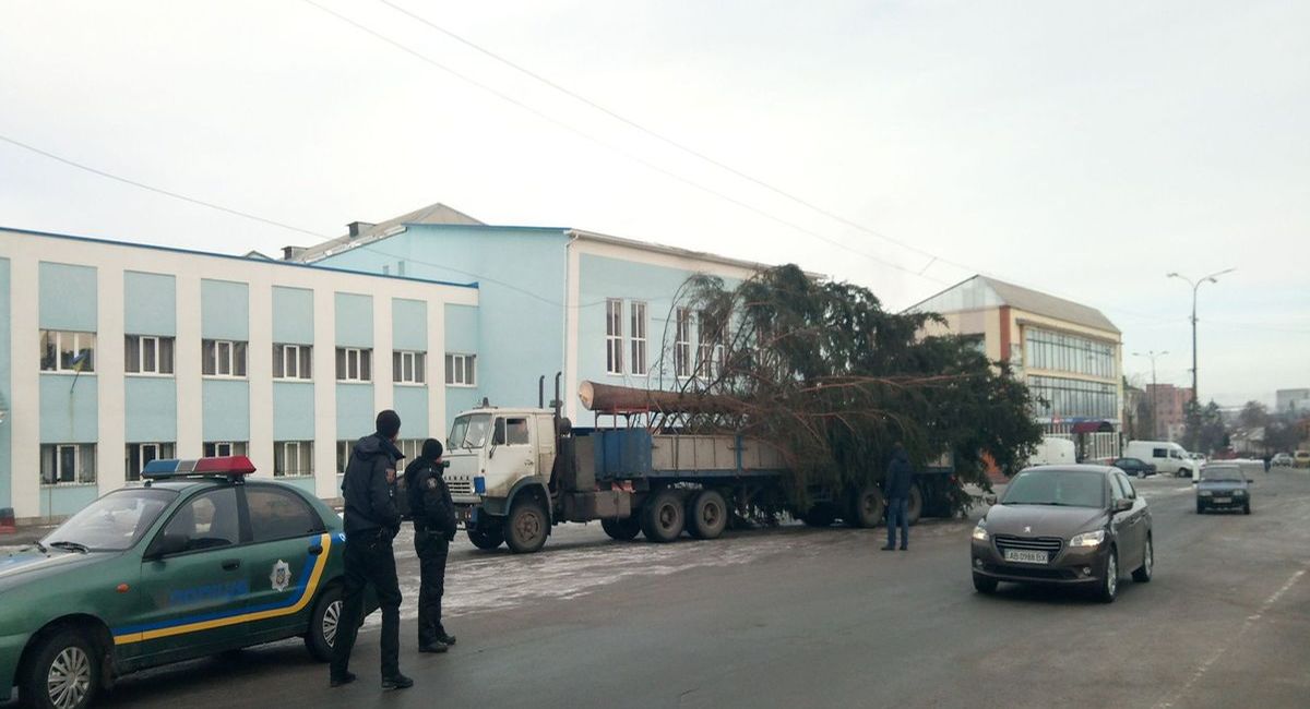 Понад 20 селищних та міських рад Вінниччини відмовились від живих лісових ялинок 