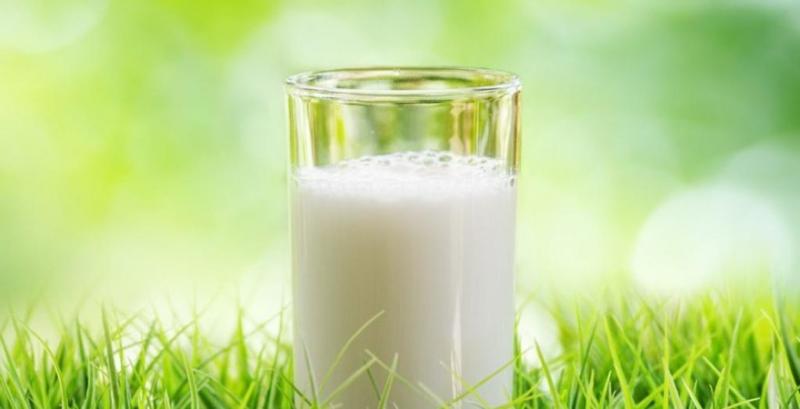 На Буковині найдешевше в Україні молоко