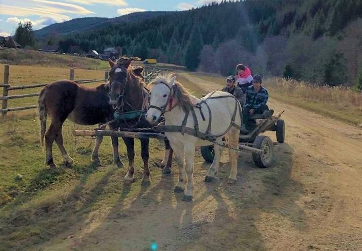 Як виживають люди у селі на Буковині, де 20 років немає світла і газу