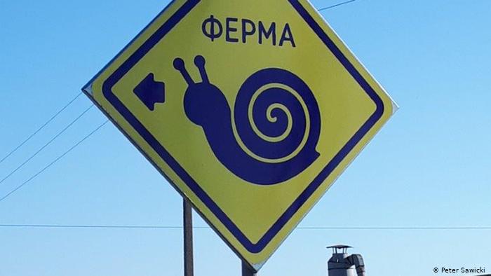 Зафіксовано зростання експорту українських равликів до ЄС