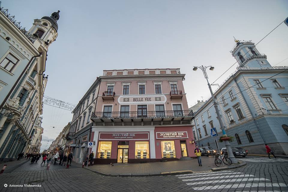 У Чернівцях презентують унікальний календар безпритульних тварин, яким волонтери шукають господарів 