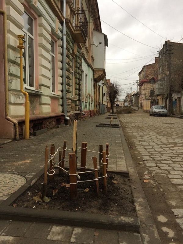 Шість молодих дерев зламали на частині вулиці Переяславської  