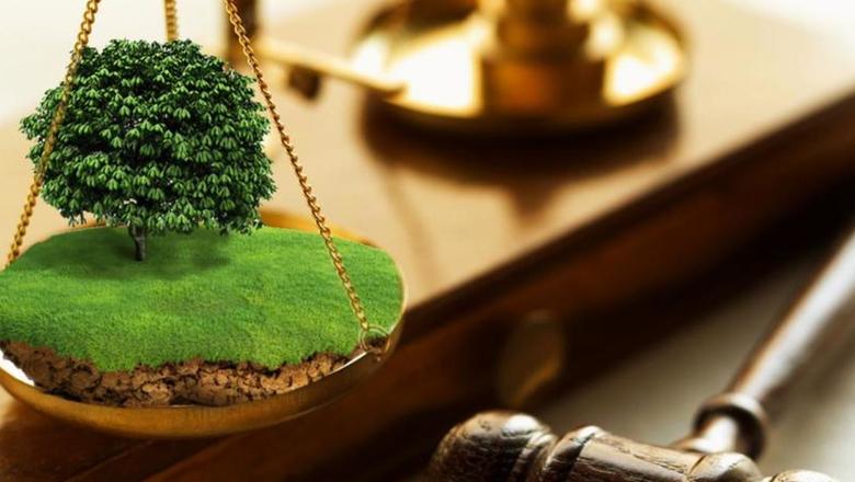 Чернівці відсудили у забудовника земельну ділянку вартістю майже 5 млн грн