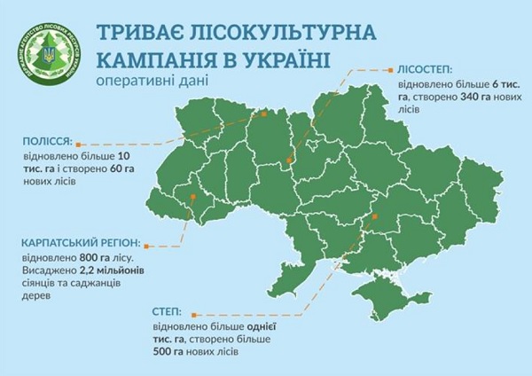 У гірських районах буковинських Карпат уже висаджено 700 тисяч дерев