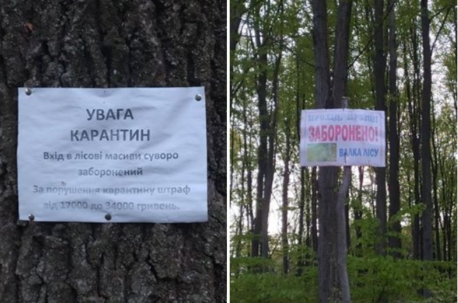 В районі Валя Кузьмина (Глибоцький район), а також в бік Тарашан і Герцаївщини рубають ліс: нардеп Мазурашу обіцяє з'ясувати хто і на яких підставах 