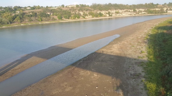 У Дністрі цвіте вода, на кілометри тхне гниллю, а від Новодністровська до Перебиківців шар намулу сягає рівня поверхні
