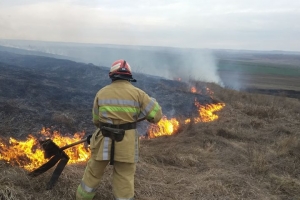 На території Буковини цього року 405 разів горіла суха трава