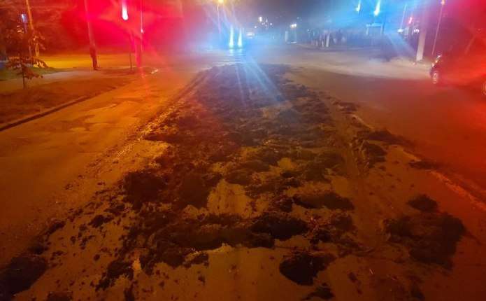 Півкілометра дороги від Головної до Південно-Кільцевої угноїли майже 10 тоннами гною 