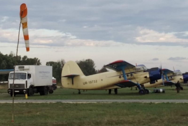 Над Буковиною з літаків розкидатимуть приманки з вакцинами проти сказу