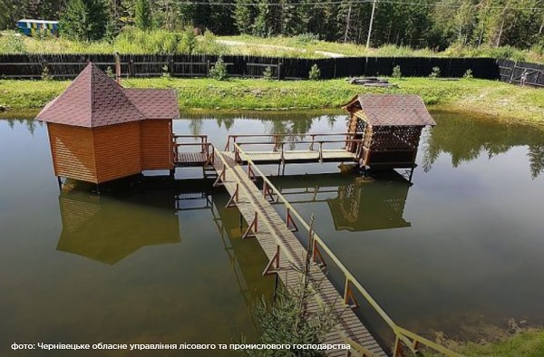 На Буковині створили інтерактивну карту локацій для пікніків у лісах