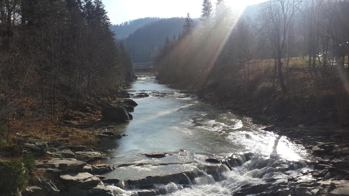 Через дощі очікується паводок на Пруті на Буковині оголошено штормове попередження