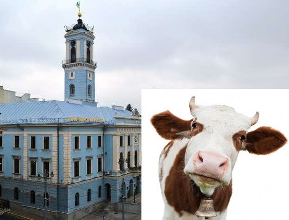 У Коровії хочуть обирати депутатів сільської, а не міської ради та сільського, а не Чернівецького міського голову 