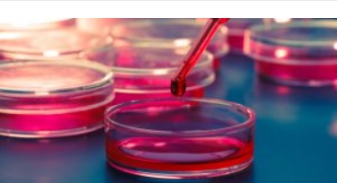 Сторожинецька лікарня переплатить новоствореному підприємцю понад 100 тисяч за аналізатор крові