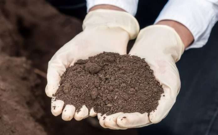 На Хотинщині шукають зловмисників, які засмітили земельну ділянку в урочищі «Чайка» біля с. Ярівка 