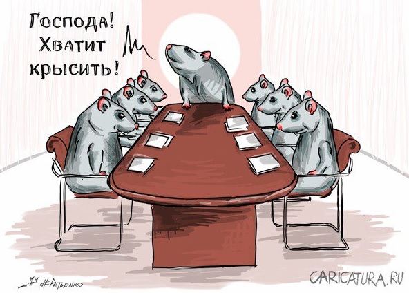 Теологічне відділення у Чернівцях закрили, а вінчальне лишили і вирощують щуроїда