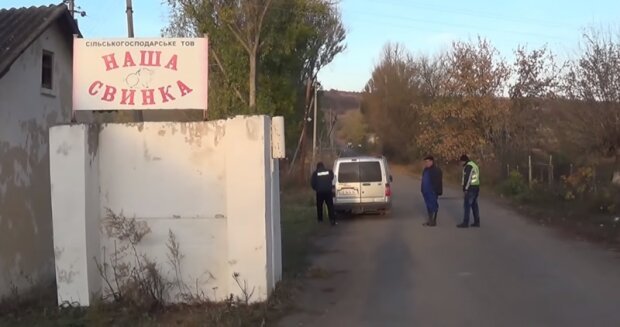 Буковину атакувала чума, територію Шипинець, Лужан і Мамаївців оголошено зоною спостереження, дуже страшно – медики розриваються (ОНОВЛЕНО)