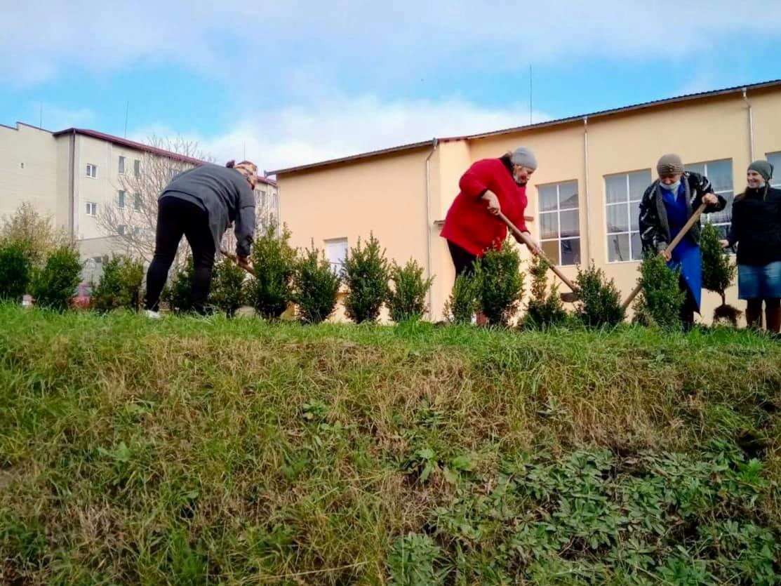 Одинадцять тисяч саджанців дуба, явора, клена, туї, ялини, ялиці, бука, берези й каштана подарували десяти буковинським громадам 