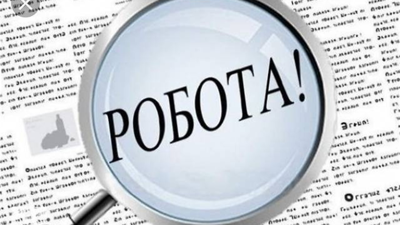 Кого шукають роботодавці на Буковині?