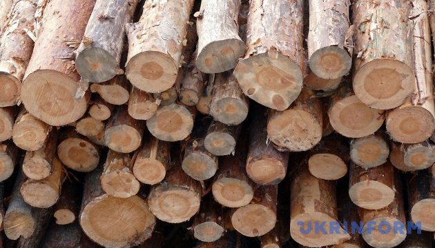 У Європейському Союзі тішаться, що таки змусили Україну відновити експорт необробленого лісу-кругляку