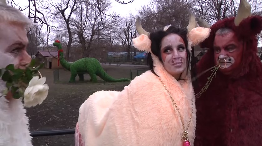 В костюмі бика, який бився за молоду корову: директор Одеського зоопарку привітав українців з Новим роком