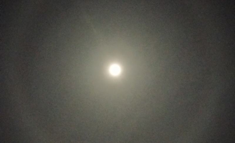 У небі над Чернівцями зафіксували місячне гало