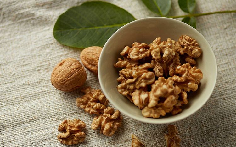 Буковинські селекціонери  вивели 4 скороплідних сорта грецького горіха  