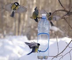 Лютий на Буковині лютує, але все одно весну красну підганяє  