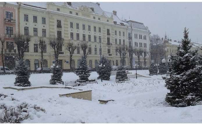 Колишня директорка Департаменту охорони здоров`я Чернівецької ОДА претендує на посаду ректора Буковинського медуніверситету: відомо, хто  ще  претендує на посаду Тараса Бойчука 